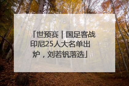 世预赛｜国足客战印尼25人大名单出炉，刘若钒落选