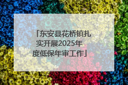 东安县花桥镇扎实开展2025年度低保年审工作