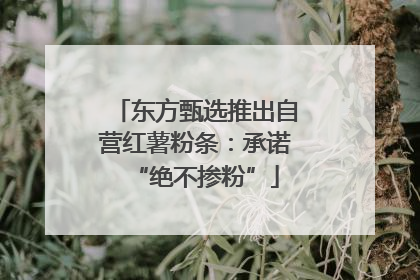 东方甄选推出自营红薯粉条：承诺“绝不掺粉”