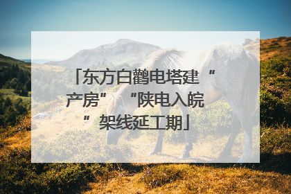 东方白鹳电塔建“产房” “陕电入皖”架线延工期