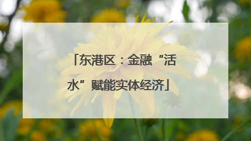 东港区：金融“活水”赋能实体经济