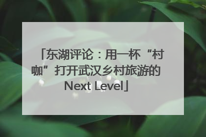 东湖评论：用一杯“村咖”打开武汉乡村旅游的Next Level