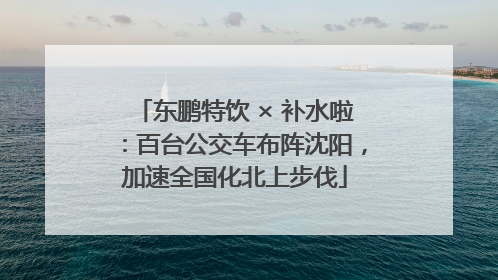 东鹏特饮 × 补水啦：百台公交车布阵沈阳，加速全国化北上步伐