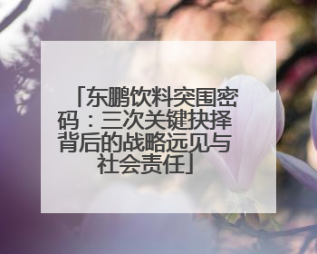 东鹏饮料突围密码：三次关键抉择背后的战略远见与社会责任