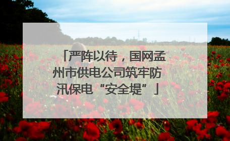 严阵以待，国网孟州市供电公司筑牢防汛保电“安全堤”