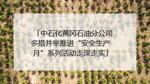 中石化黄冈石油分公司多措并举推进“安全生产月”系列活动走深走实