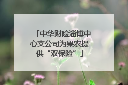 中华财险淄博中心支公司为果农提供“双保险”