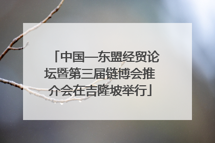 中国—东盟经贸论坛暨第三届链博会推介会在吉隆坡举行