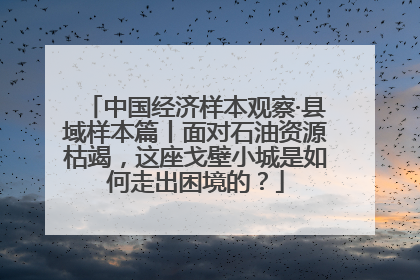 中国经济样本观察·县域样本篇丨面对石油资源枯竭，这座戈壁小城是如何走出困境的？