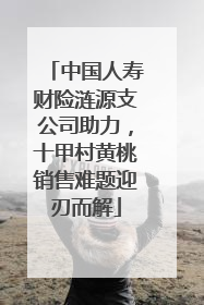 中国人寿财险涟源支公司助力，十甲村黄桃销售难题迎刃而解