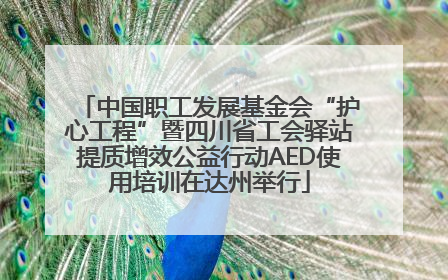中国职工发展基金会“护心工程”暨四川省工会驿站提质增效公益行动AED使用培训在达州举行