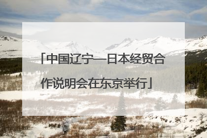 中国辽宁—日本经贸合作说明会在东京举行