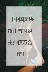 中国足协终止与国足主帅伊万合作