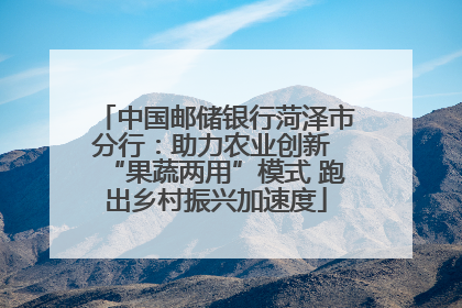 中国邮储银行菏泽市分行：助力农业创新 “果蔬两用”模式 跑出乡村振兴加速度