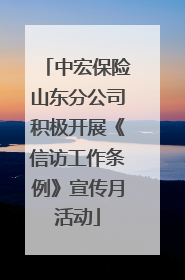 中宏保险山东分公司积极开展《信访工作条例》宣传月活动