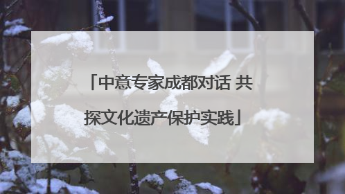 中意专家成都对话 共探文化遗产保护实践