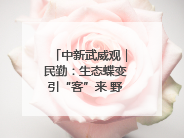 中新武威观｜民勤：生态蝶变引“客”来 野生动物乐逍遥