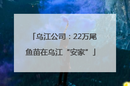 乌江公司：22万尾鱼苗在乌江“安家”