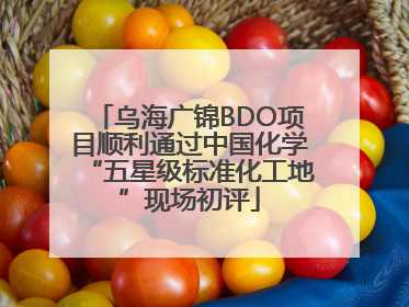 乌海广锦BDO项目顺利通过中国化学“五星级标准化工地”现场初评