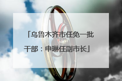 乌鲁木齐市任免一批干部：申琳任副市长