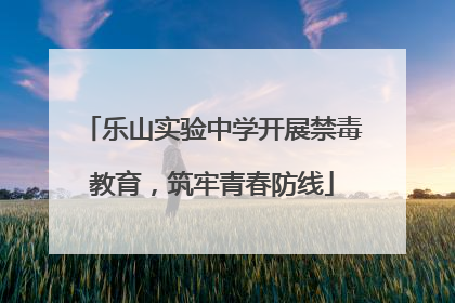 乐山实验中学开展禁毒教育，筑牢青春防线
