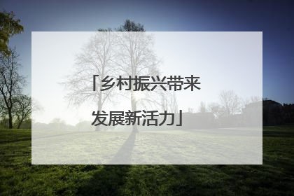 乡村振兴带来发展新活力