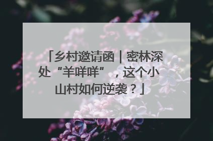 乡村邀请函|密林深处“羊咩咩”,这个小山村如何逆袭?