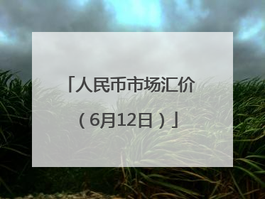 人民币市场汇价（6月12日）