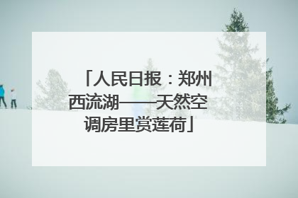 人民日报：郑州西流湖——天然空调房里赏莲荷