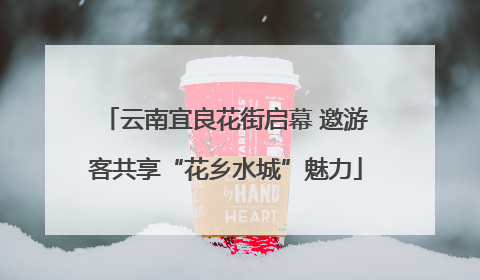 云南宜良花街启幕 邀游客共享“花乡水城”魅力