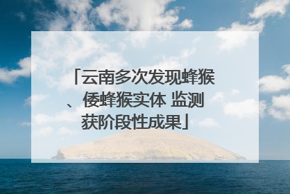 云南多次发现蜂猴、倭蜂猴实体 监测获阶段性成果