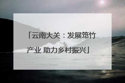 云南大关：发展筇竹产业 助力乡村振兴