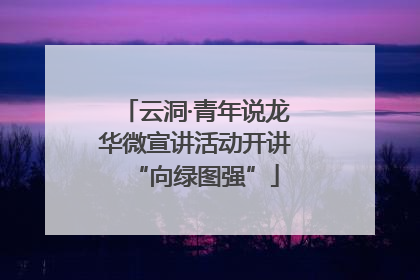 云洞·青年说龙华微宣讲活动开讲“向绿图强”