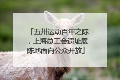 五卅运动百年之际，上海总工会遗址展陈地面向公众开放