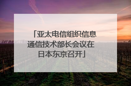 亚太电信组织信息通信技术部长会议在日本东京召开