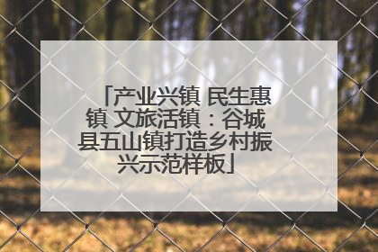 产业兴镇 民生惠镇 文旅活镇：谷城县五山镇打造乡村振兴示范样板
