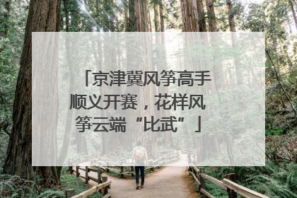 京津冀风筝高手顺义开赛，花样风筝云端“比武”