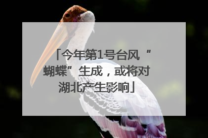 今年第1号台风“蝴蝶”生成，或将对湖北产生影响