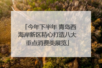 今年下半年 青岛西海岸新区精心打造八大重点消费类展览