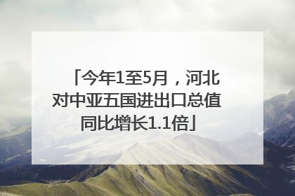 今年1至5月，河北对中亚五国进出口总值同比增长1.1倍