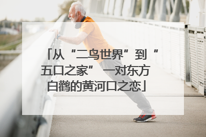 从“二鸟世界”到“五口之家” 一对东方白鹳的黄河口之恋