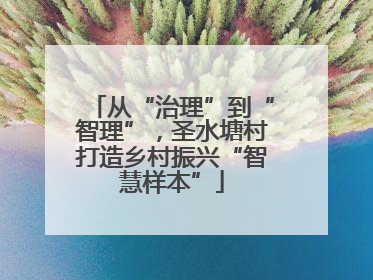 从“治理”到“智理”，圣水塘村打造乡村振兴“智慧样本”