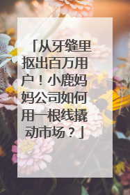 从牙缝里抠出百万用户！小鹿妈妈公司如何用一根线撬动市场？