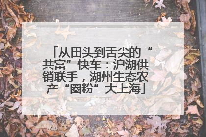 从田头到舌尖的“共富”快车：沪湖供销联手，湖州生态农产“圈粉”大上海