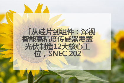 从硅片到组件：深视智能高精度传感器覆盖光伏制造12大核心工位，SNEC 2025诚邀见证