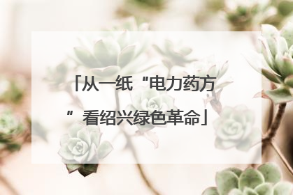 从一纸“电力药方”看绍兴绿色革命