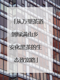 从万里茶道到绿满山乡 安化黑茶的生态致富路