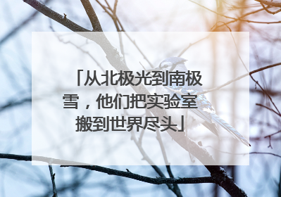 从北极光到南极雪，他们把实验室搬到世界尽头