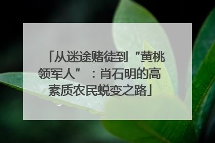 从迷途赌徒到“黄桃领军人”：肖石明的高素质农民蜕变之路