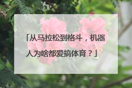 从马拉松到格斗，机器人为啥都爱搞体育？